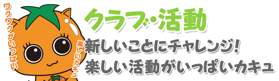 地域と人をつなぐ橋本市情報サイト