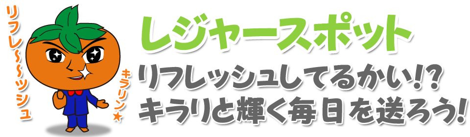 地域と人をつなぐ橋本市情報サイト