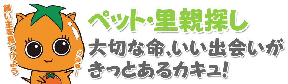 地域と人をつなぐ橋本市情報サイト