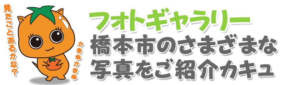 地域と人をつなぐ橋本市情報サイト